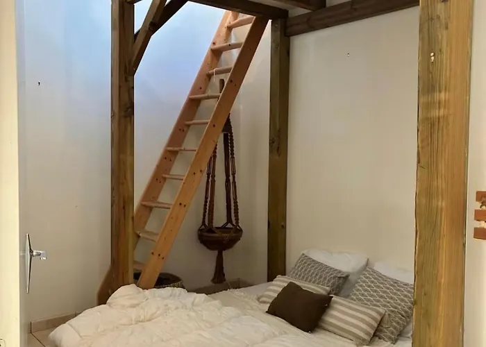 Le Grand Brandonne * Loire